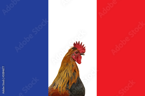 Drapeau français et Coq photo