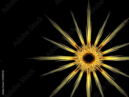 Sunflower Fractal
