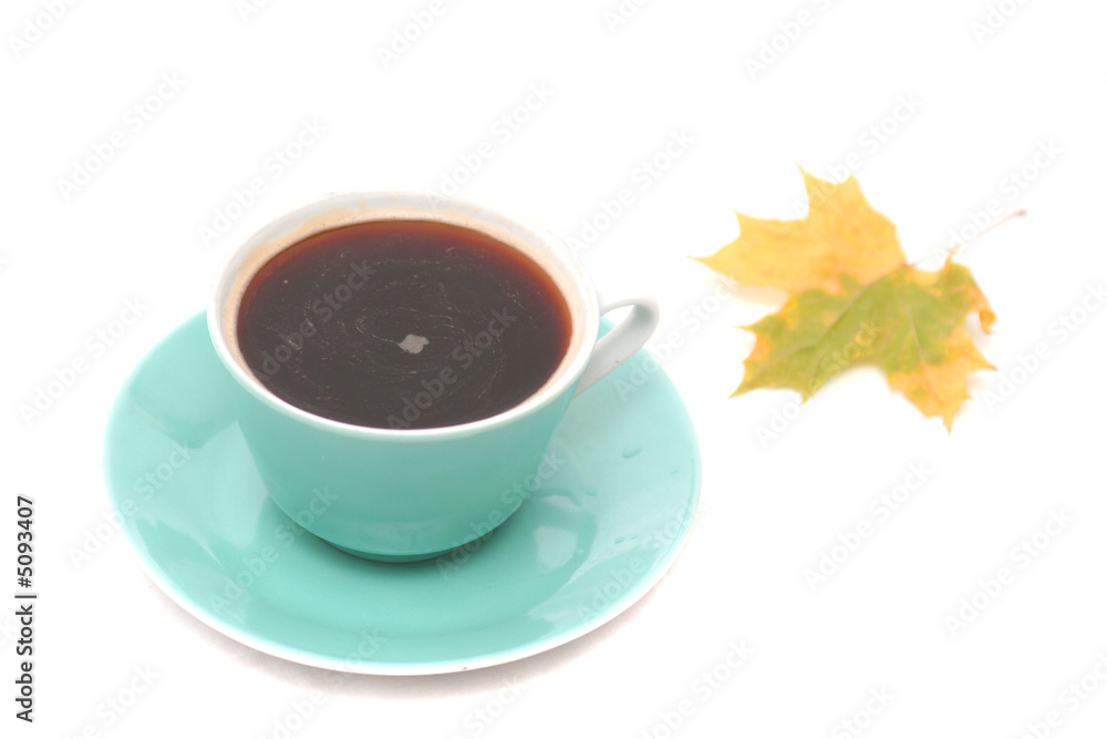 Cup from coffee and a maple leaf Cup from coffee and a maple leaf