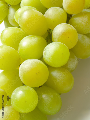 macro of grape bunch