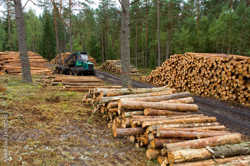 Truck work with timber