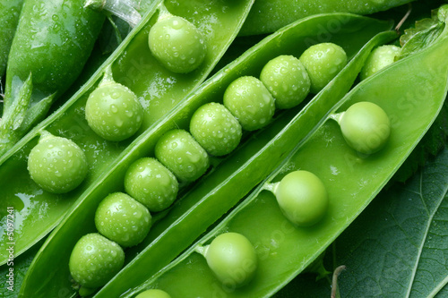 Tela green pea