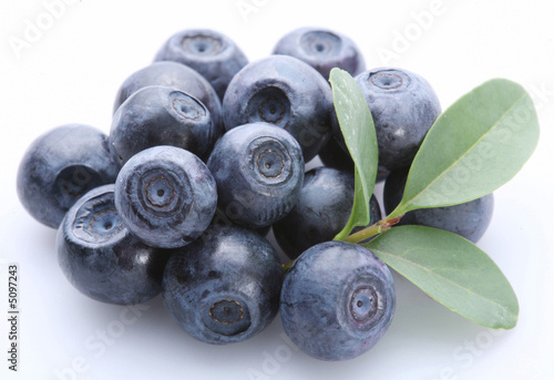 bilberry; Objects on white background Fototapet