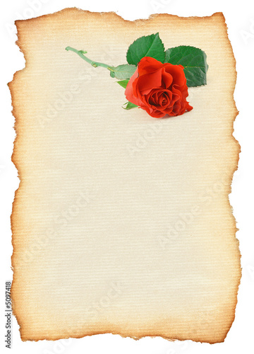 scroll with rose