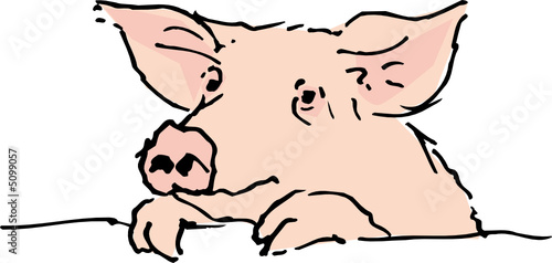 Schwein