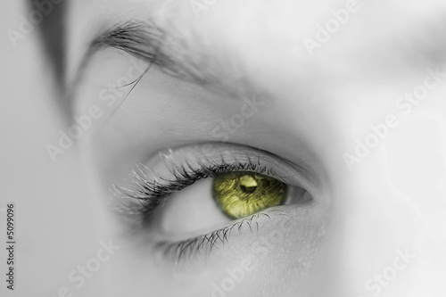 oeil en or jaune regard de femme richesse gagner de l'argent 