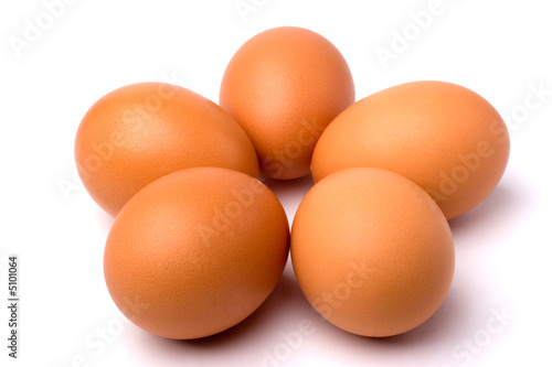 egg,eggs