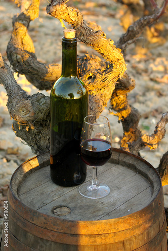 vino y barrica photo