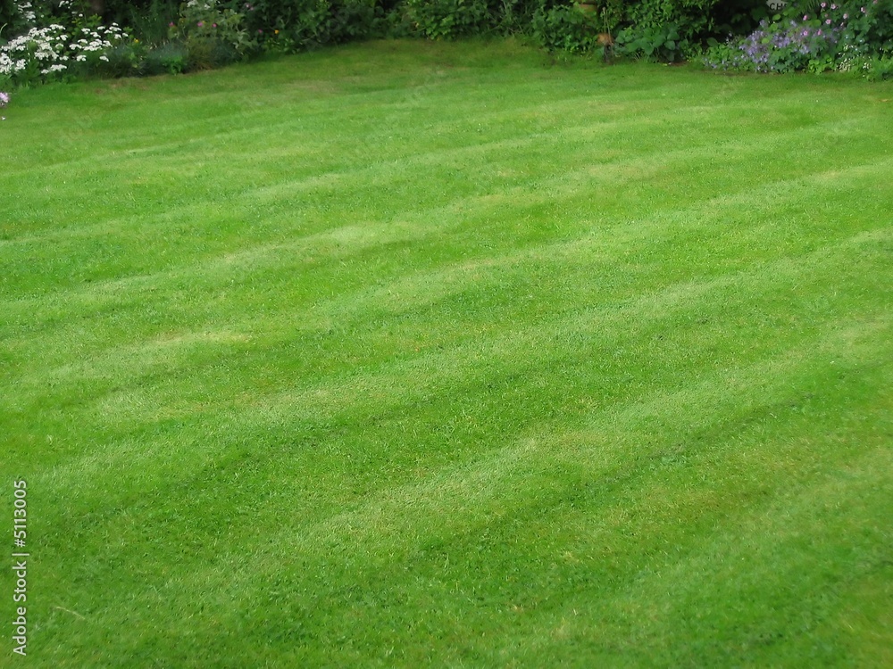 Fototapeta premium striped lawn