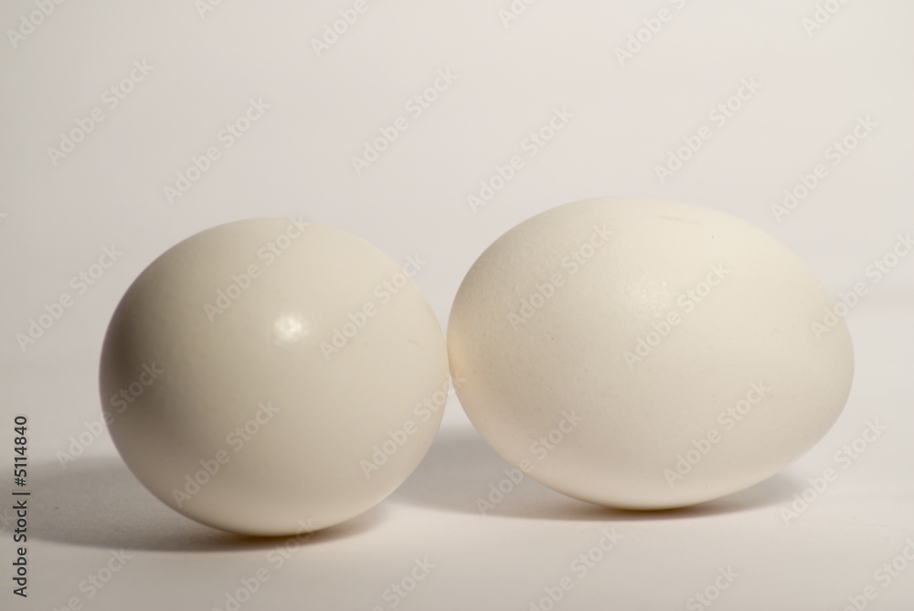 Two Eggs Two Eggs