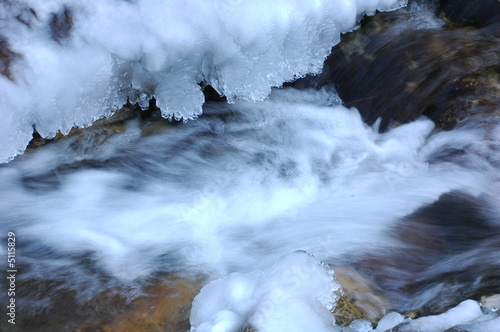 Stream in Winter