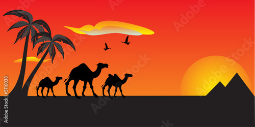 Illustration of Camels, pyramids in background. Travel concept.