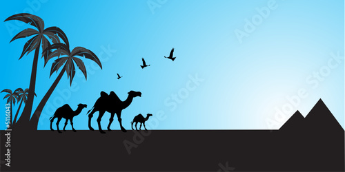 Camels walking, pyramids in background. Travel concept.