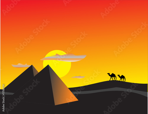 Illustration of Camels walking in desert sunset. Travel concept.
