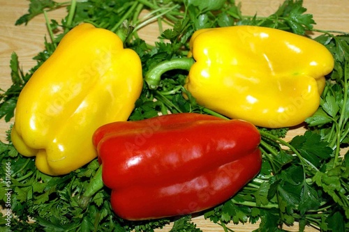Still=life with the Peppers