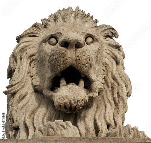 Stone lion from The Chain Bridge. Budapest, Hungary.