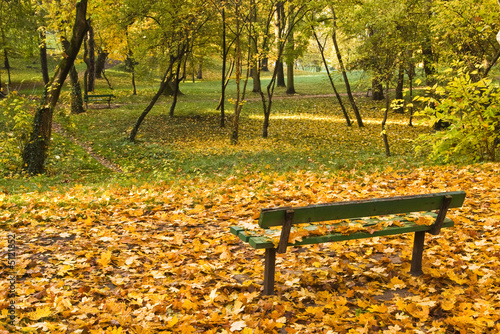park bench with autumn leaves © Mihai Simonia
