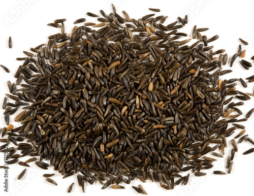 Thistle seed on a white background