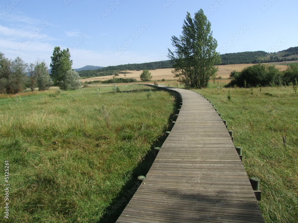 camino de madera