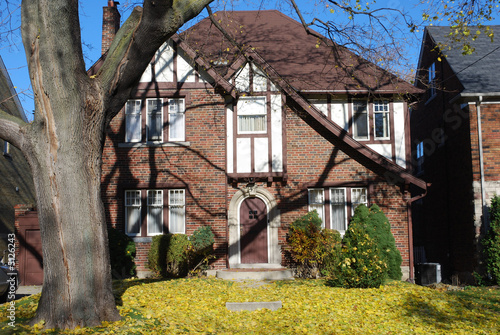 Obraz na płótnie tudor style home with leaf covere lawn