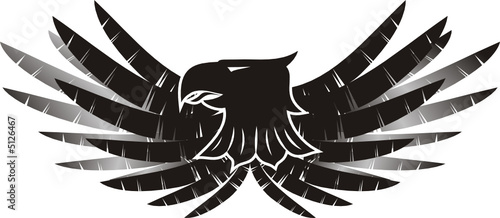 escudo 01