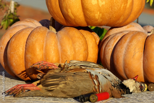 Two abated partridges during one hunted. photo