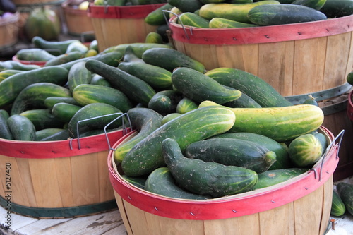 Fresh picked cucumbers in baskets at a road side farm stand