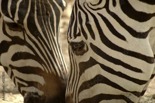 Greeting