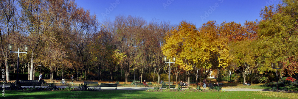 Naklejka premium un parc en automne