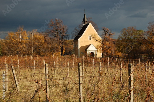 Church in vineyard