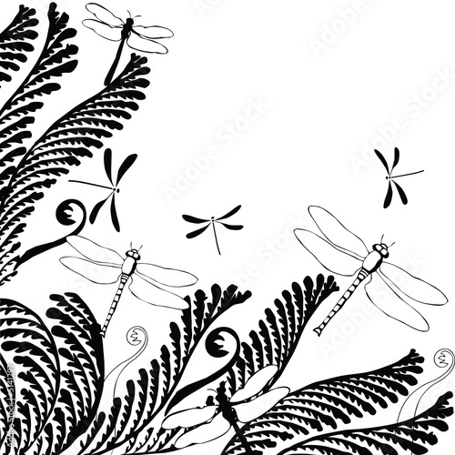 Floral ornament with dragonflies: Vector