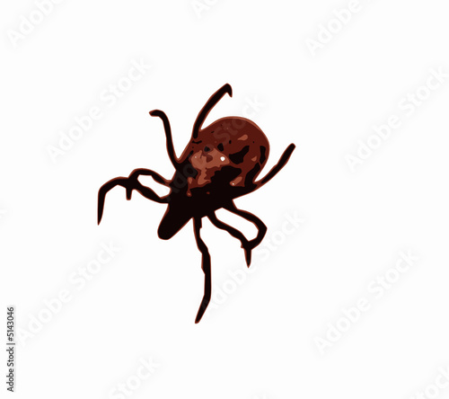 garrapata