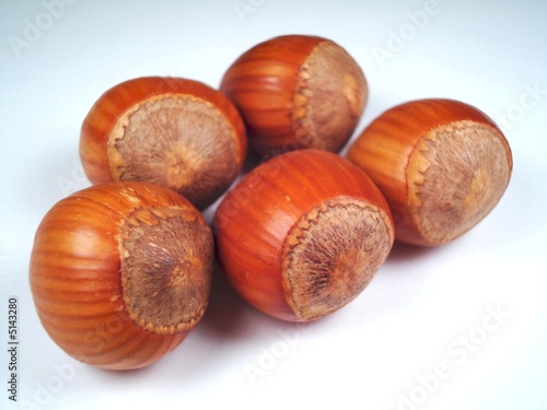 haselnüsse - hazelnuts