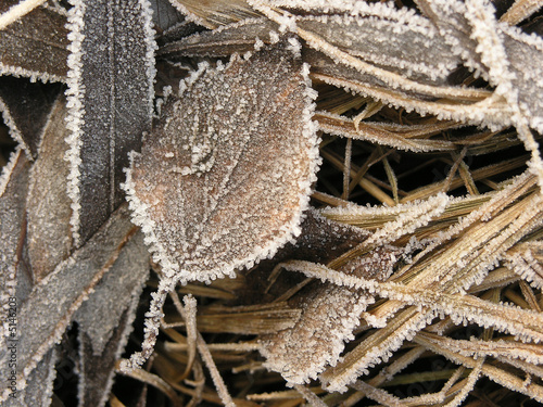 winter