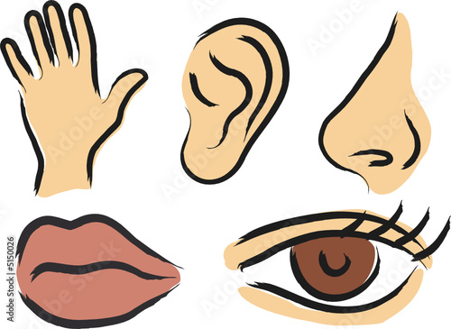Sensory perception