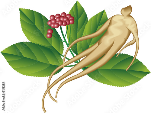 A ginseng root and a part of the plant.