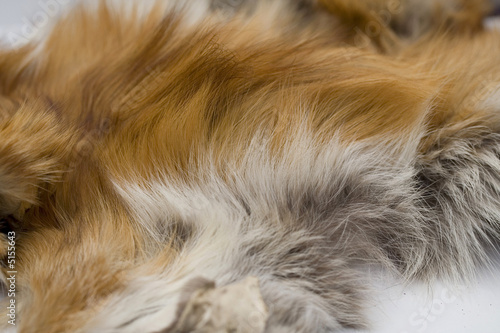 Fox fur