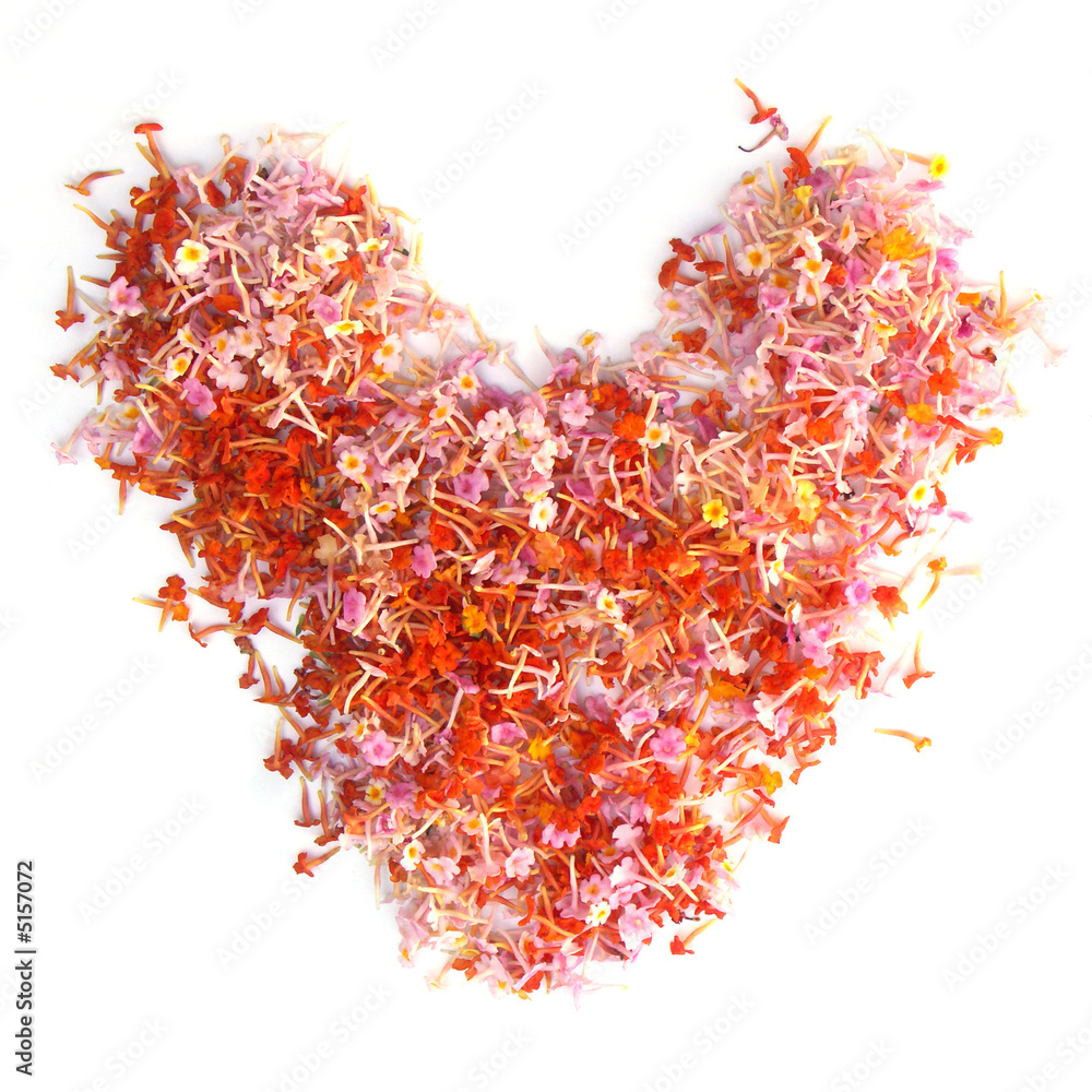 Naklejka premium coeur de lantana