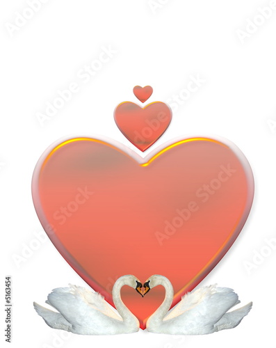 Swan Heart
