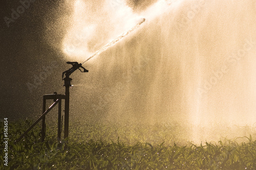 arrosage dans l'agriculture