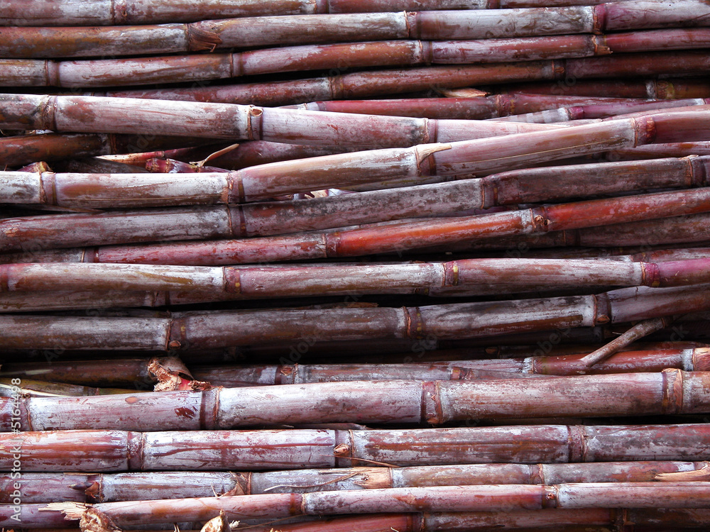 Sugarcanes at the juice station in Madeira Island