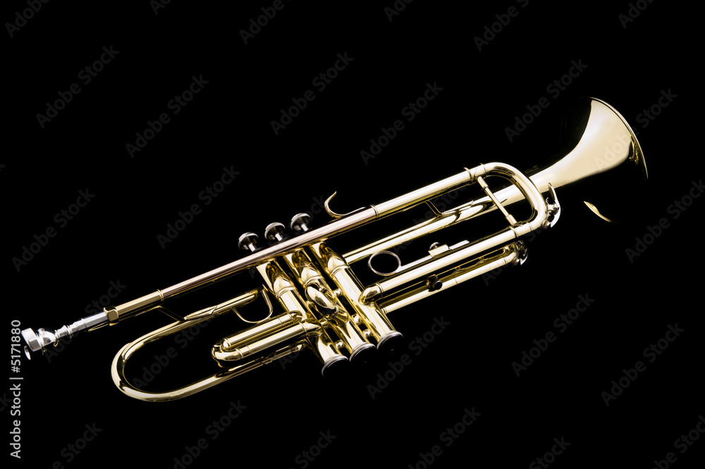 Obraz premium Trumpet
