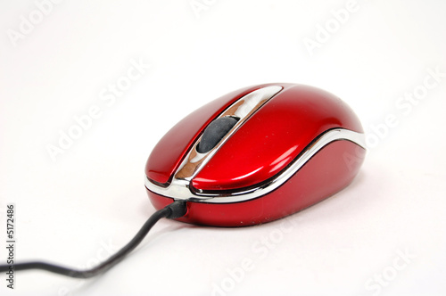 mouse
