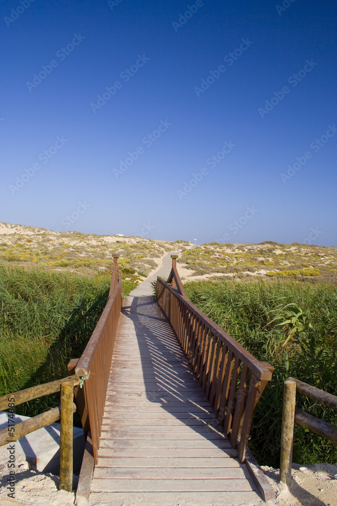 Obraz premium the path to the beach