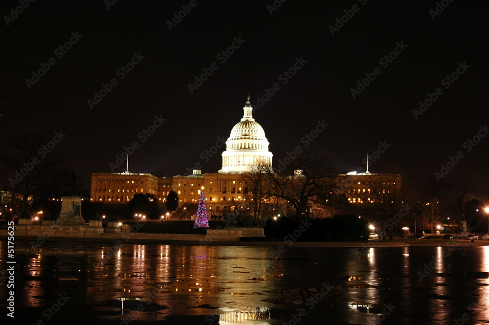 Fototapeta premium US Capitol Building