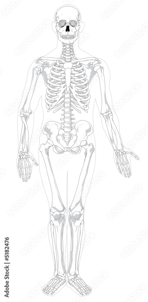 human bones human bones