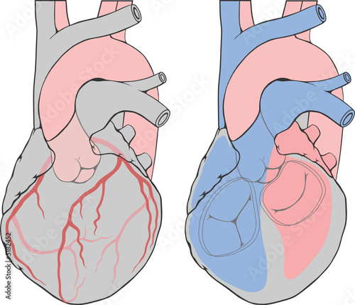 hearth