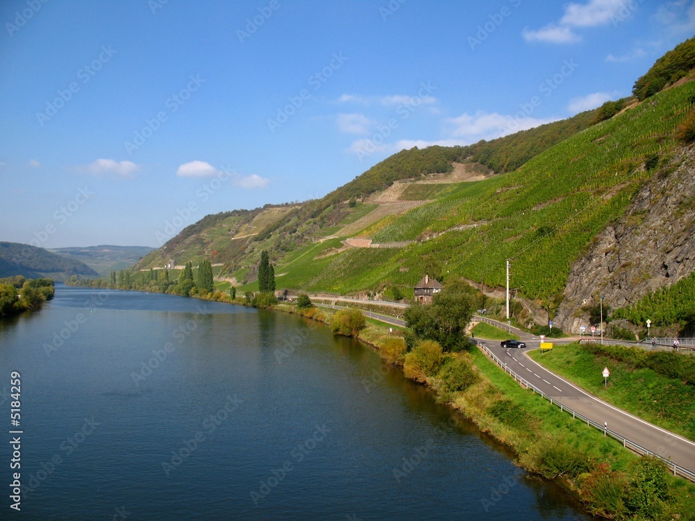 Mosel mit Weinbergen