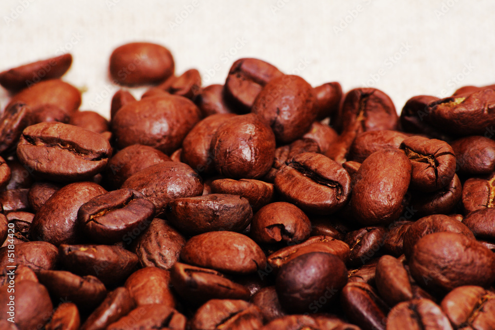 india coffe