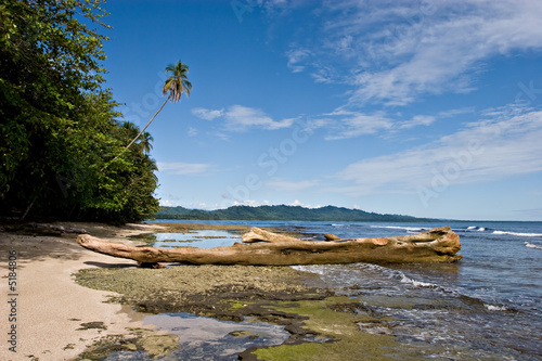 Tropical View